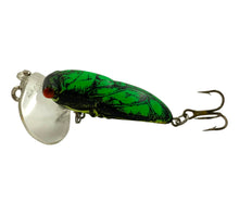 Load image into Gallery viewer, Left Facing View of ARBOGAST HOCUS LOCUST Fishing Lure • 210 FIRE LOCUST
