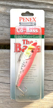 Load image into Gallery viewer, Wood Background pic of Penex Co Bass Topwater Type B Freshwater Fishing Lure in QUEEN FLAKE
