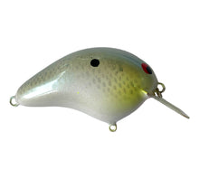 Load image into Gallery viewer, Handmade Bass Lures • BRIAN&#39;S BEES CRANKBAITS FAT BODY SQUARE BILL Fishing Lure • #1 SILVER PEARL
