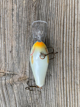 Load image into Gallery viewer, Belly View of RAPALA SPECIAL FAT RAP Size 5  Fishing Lure in BLUE SHAD
