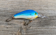 Load image into Gallery viewer, Right Facing View of RAPALA SPECIAL FAT RAP Size 5  Fishing Lure in BLUE SHAD
