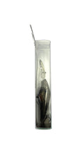 Lataa kuva Galleria-katseluun, Profile View of YO-ZURI DUEL HARDCORE SH-60 SP SHAD Fishing Lure
